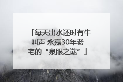 每天出水还时有牛叫声 永嘉30年老宅的“泉眼之谜”