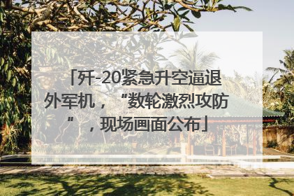 歼-20紧急升空逼退外军机，“数轮激烈攻防”，现场画面公布