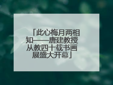 此心梅月两相知——唐建教授从教四十载书画展盛大开幕