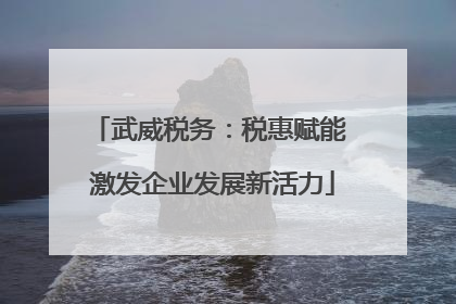 武威税务：税惠赋能 激发企业发展新活力