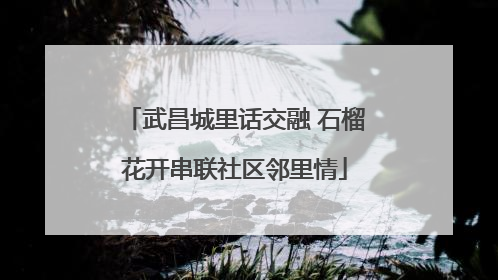 武昌城里话交融 石榴花开串联社区邻里情