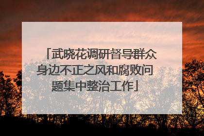 武晓花调研督导群众身边不正之风和腐败问题集中整治工作