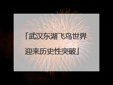 武汉东湖飞鸟世界迎来历史性突破