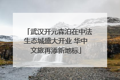 武汉开元森泊在中法生态城盛大开业 华中文旅再添新地标
