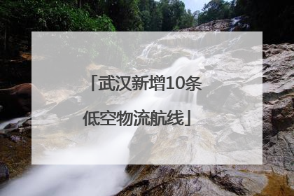 武汉新增10条低空物流航线