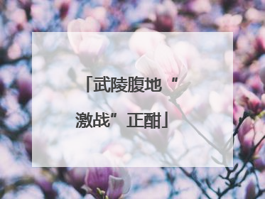 武陵腹地“激战”正酣