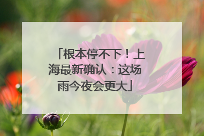 根本停不下！上海最新确认：这场雨今夜会更大