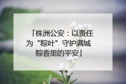 株洲公安：以责任为“粽叶”守护满城粽香里的平安