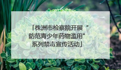 株洲市检察院开展“防范青少年药物滥用”系列禁毒宣传活动