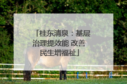桂东清泉：基层治理提效能 改善民生增福祉