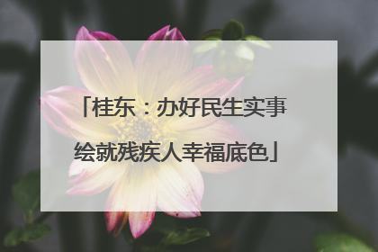 桂东：办好民生实事 绘就残疾人幸福底色