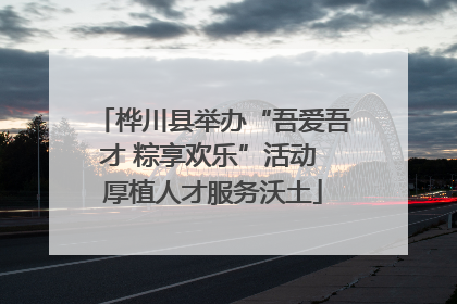桦川县举办“吾爱吾才 粽享欢乐”活动 厚植人才服务沃土