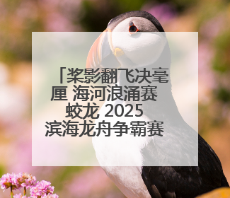 桨影翻飞决毫厘 海河浪涌赛蛟龙 2025滨海龙舟争霸赛燃爆端午