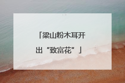 梁山粉木耳开出“致富花”