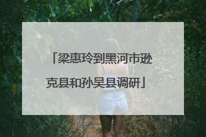 梁惠玲到黑河市逊克县和孙吴县调研
