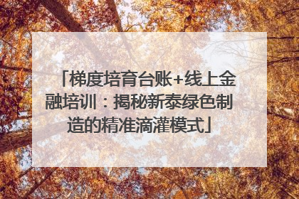 梯度培育台账+线上金融培训：揭秘新泰绿色制造的精准滴灌模式