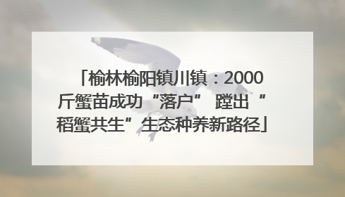 榆林榆阳镇川镇：2000斤蟹苗成功“落户” 蹚出“稻蟹共生”生态种养新路径