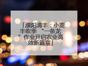 濮阳清丰：小麦丰收季 “一条龙”作业开启农业高效新篇章