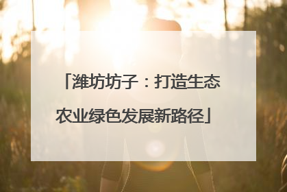 潍坊坊子：打造生态农业绿色发展新路径