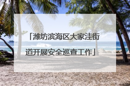 潍坊滨海区大家洼街道开展安全巡查工作