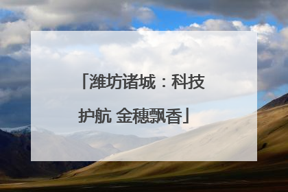 潍坊诸城：科技护航 金穗飘香