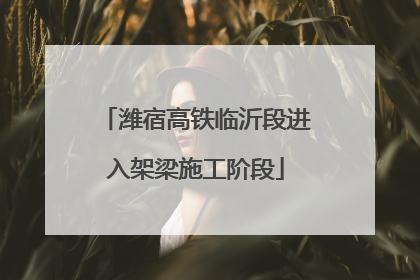 潍宿高铁临沂段进入架梁施工阶段