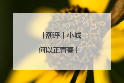 潮评丨小城何以正青春