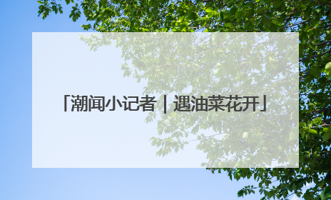 潮闻小记者｜遇油菜花开