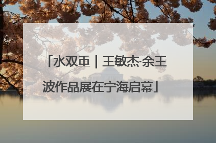 水双重｜王敏杰·余王波作品展在宁海启幕