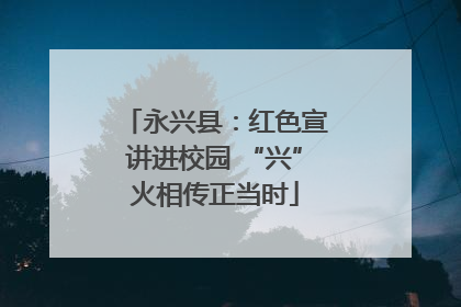 永兴县：红色宣讲进校园 “兴”火相传正当时