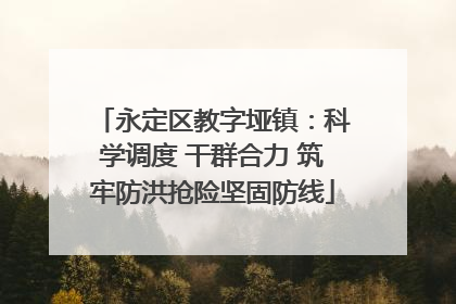 永定区教字垭镇：科学调度 干群合力 筑牢防洪抢险坚固防线