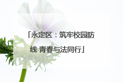 永定区：筑牢校园防线 青春与法同行