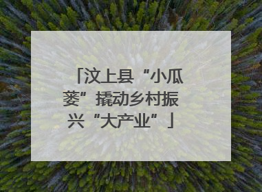 汶上县“小瓜蒌”撬动乡村振兴“大产业”