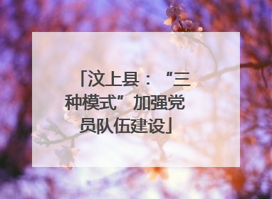 汶上县：“三种模式”加强党员队伍建设