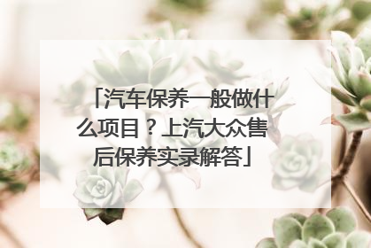汽车保养一般做什么项目？上汽大众售后保养实录解答
