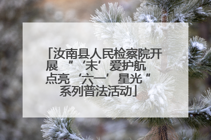汝南县人民检察院开展 “‘未’爱护航 点亮‘六一’星光 ”系列普法活动