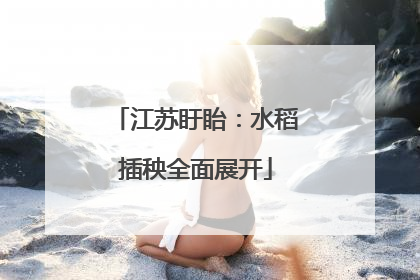 江苏盱眙：水稻插秧全面展开