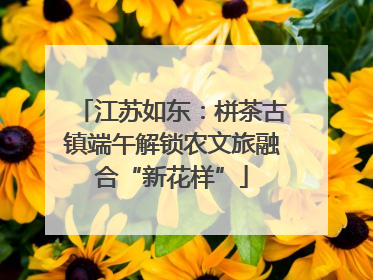 江苏如东：栟茶古镇端午解锁农文旅融合“新花样”