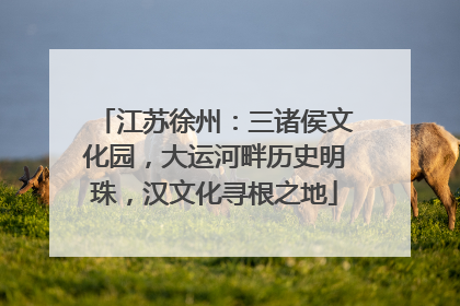江苏徐州：三诸侯文化园，大运河畔历史明珠，汉文化寻根之地