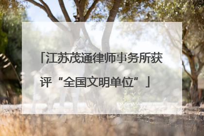 江苏茂通律师事务所获评“全国文明单位”