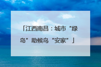 江西南昌：城市“绿岛”助候鸟“安家”
