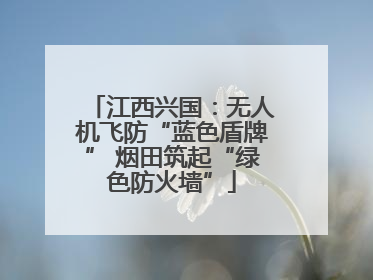 江西兴国：无人机飞防“蓝色盾牌” 烟田筑起“绿色防火墙”