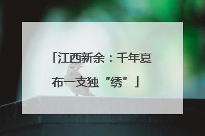 江西新余：千年夏布一支独“绣”