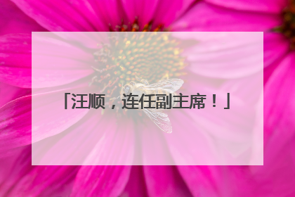 汪顺，连任副主席！
