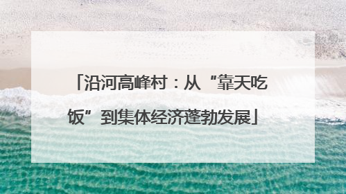 沿河高峰村：从“靠天吃饭”到集体经济蓬勃发展