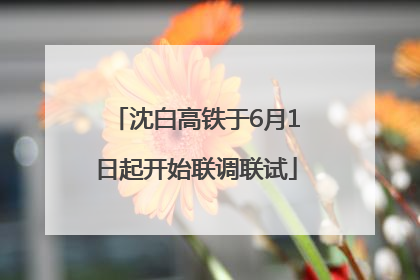 沈白高铁于6月1日起开始联调联试