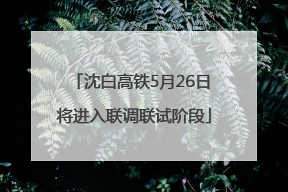 沈白高铁5月26日将进入联调联试阶段