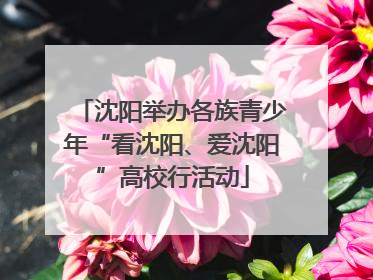 沈阳举办各族青少年“看沈阳、爱沈阳”高校行活动