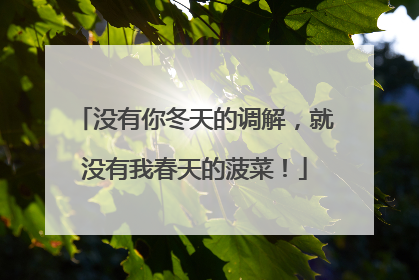 没有你冬天的调解，就没有我春天的菠菜！