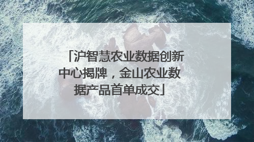 沪智慧农业数据创新中心揭牌，金山农业数据产品首单成交